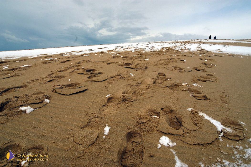 Nom de l'image : D1112336-nef-01_(c)Norbert-JUNG — Description :